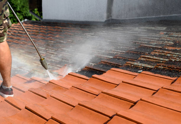 Best Power Washing Near Me  in Oberlin, KS